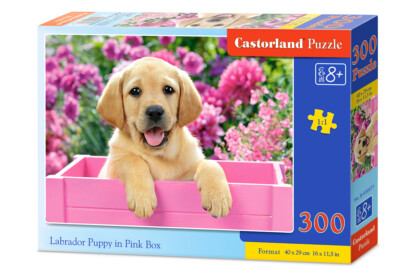 Castorland B-030071 - Labrador kölyök rózsaszín dobozban - 300 db-os puzzle