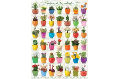 EuroGraphics 6000-0654 - Cacti and Succulents - 1000 db-os puzzle
