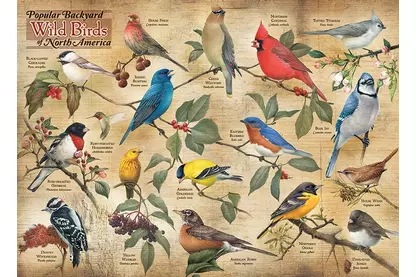 Cobble Hill 40179 - Popular Backyard Wild Birds of North America - 1000 db-os puzzle