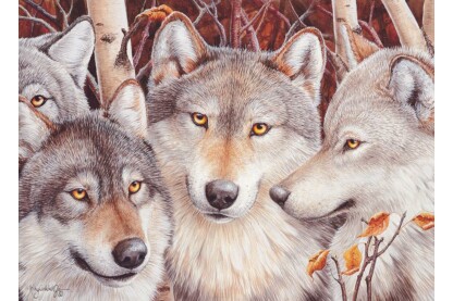 Cobble Hill 51791 - Wolf Crowd - 1000 db-os puzzle