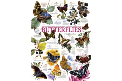 Cobble Hill 80015 - Butterfly Collection - 1000 db-os puzzle