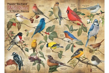 Cobble Hill 80024 - Popular Backyard Wild Birds North America - 1000 db-os puzzle