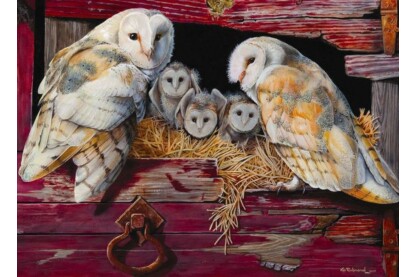 Cobble Hill 80052 - Barn Owls - 1000 db-os puzzle