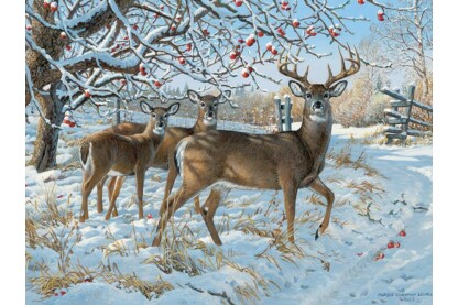 Cobble Hill 85030 - Winter Deer - 500 db-os puzzle