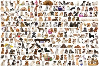 EuroGraphics 6000-0581 - The World of Dogs - 1000 db-os puzzle