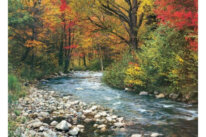 EuroGraphics 6000-2132 - Forest Stream - 1000 db-os puzzle
