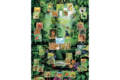 EuroGraphics 6000-2790 - The Tropical Rain Forest - 1000 db-os puzzle