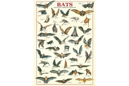 EuroGraphics 6000-3820 - Bats - 1000 db-os puzzle
