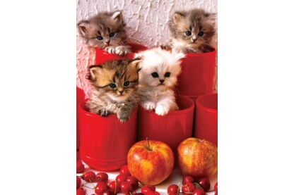 EuroGraphics 6000-4674 - Kittens in Pots - 1000 db-os puzzle