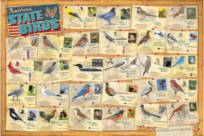 EuroGraphics 6000-5327 - American State Birds - 1000 db-os puzzle