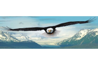 EuroGraphics 6010-0302 - Panoráma puzzle - Eagle  - 1000 db-os puzzle