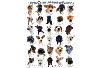 EuroGraphics 8300-1510 - Dogs - 300 db-os XL puzzle