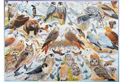 Ravensburger 19559 - Avian World - Ragadozó madarak - 1000 db-os puzzle
