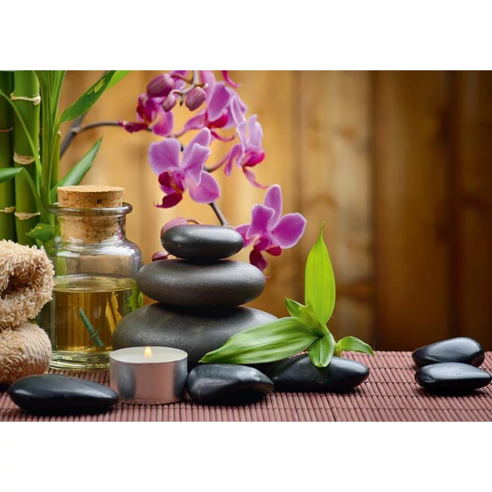 Alipson 50001 - Zen - 500 db-os puzzle