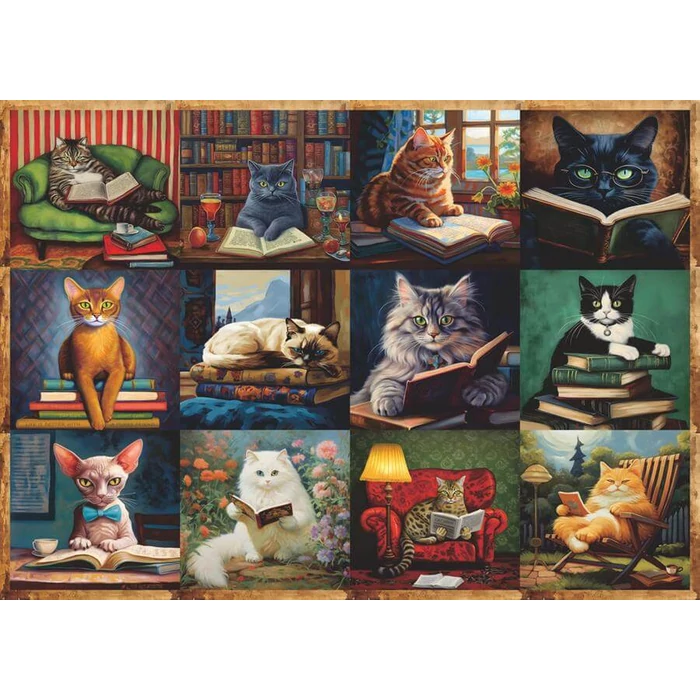 Bboldin Z-332 - Cats and Books - 1000 db-os puzzle