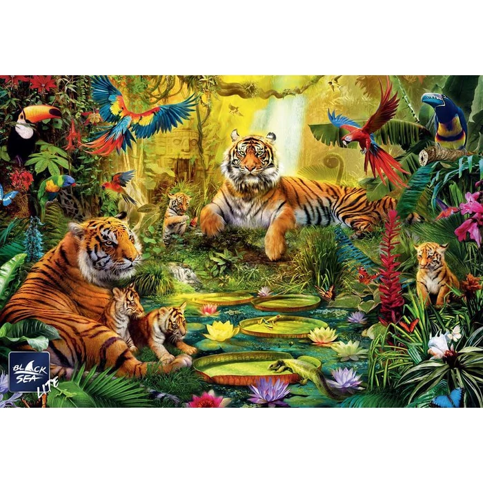 Black Sea  BS82112 - Tiger Family in the Jungle - 1000 db-os puzzle