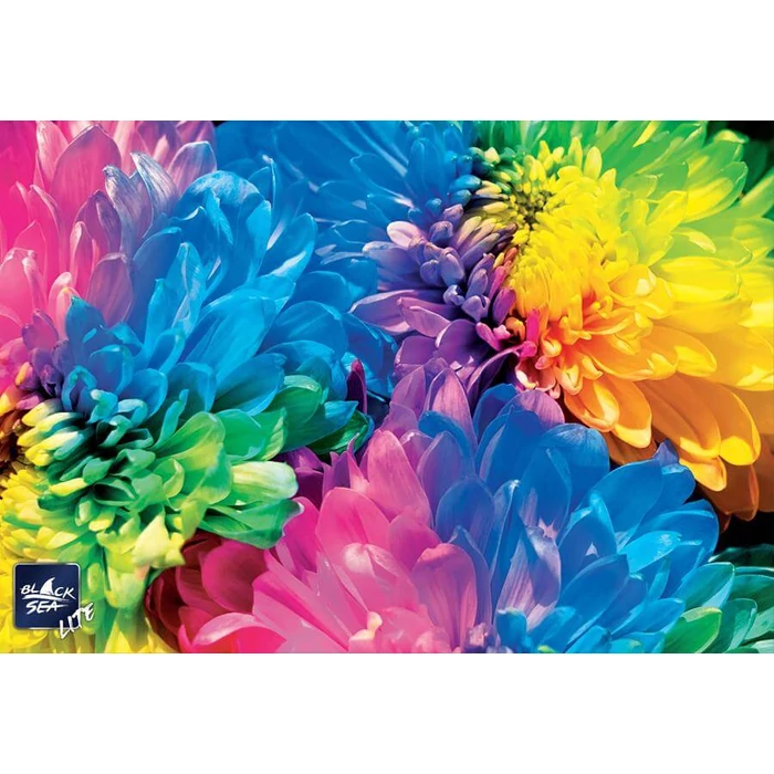 Black Sea  BS82120 - Colorful Emotions - 1000 db-os puzzle