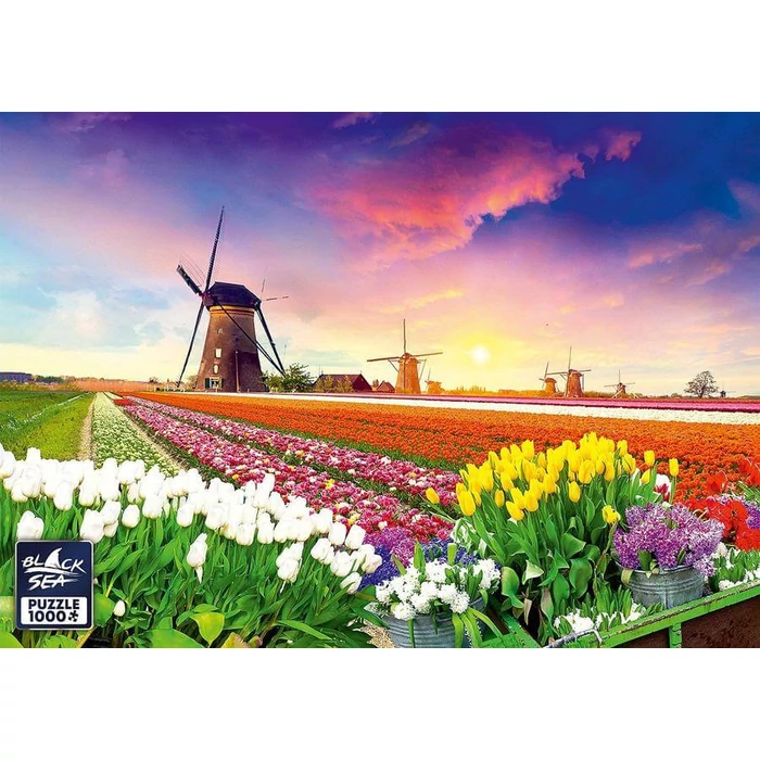 Black Sea  BS82236 - Sunset in the Netherlands - 1000 db-os puzzle