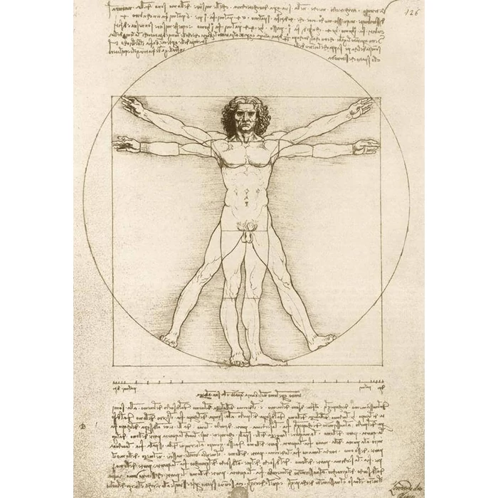 Bluebird 60211 - Leonardo Da Vinci - The Vitruvian Man 1490 - 1000 db-os Art by puzzle