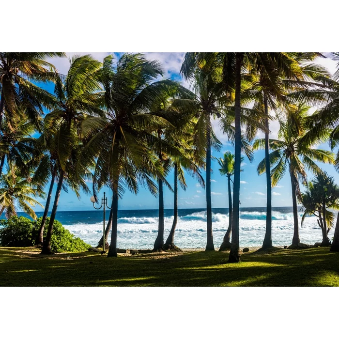 Bluebird 90477 - Plage et Palmiers, La Réunion, France - 1000 db-os puzzle