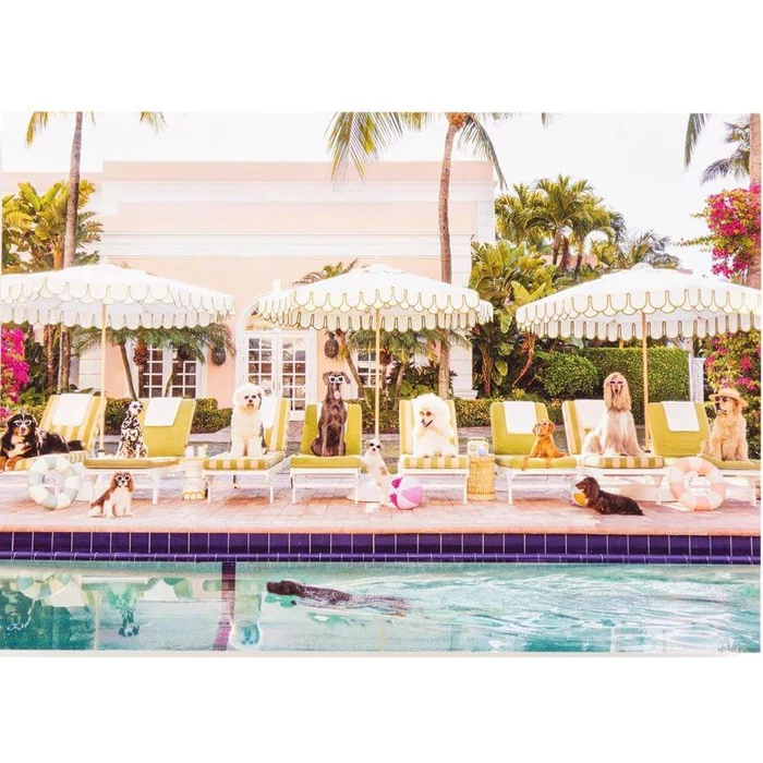 Galison 83814 - Pool Day Palm Beach, Gray Malin - 1000 db-os puzzle könyv alakú dobozban