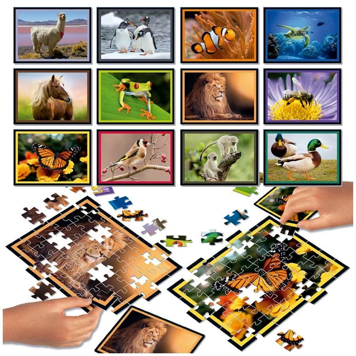 Educa Puzzle párbaj társasjáték - Természet (20119)