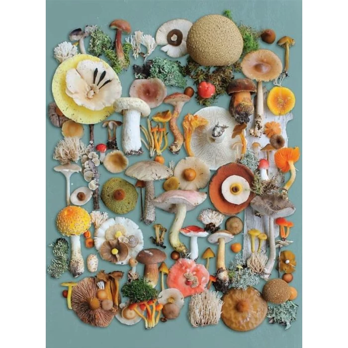 Galison 76069 - Foraged - 1000 db-os puzzle