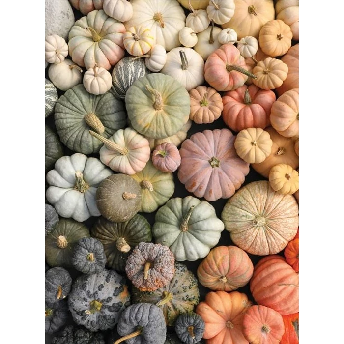 Galison 69559 - Heirloom Pumpkins  - 1000 db-os puzzle