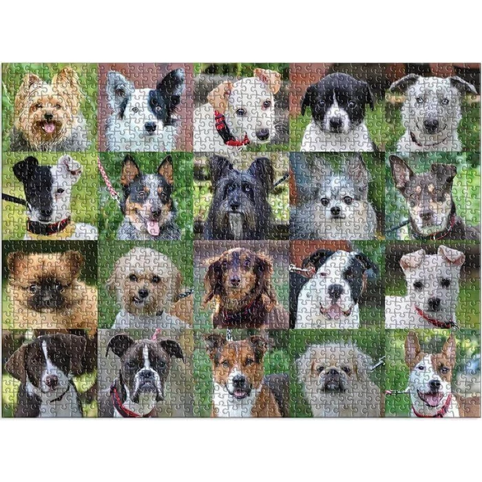 Galison 69535 - Rescue Dogs - 1000 db-os puzzle