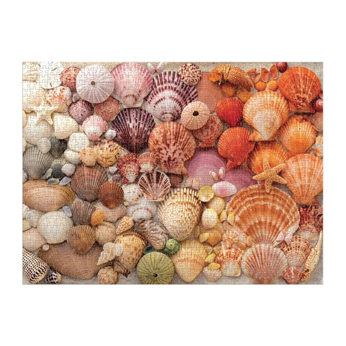 Galison 80608 - Vibrant Seashells - 1000 db-os puzzle