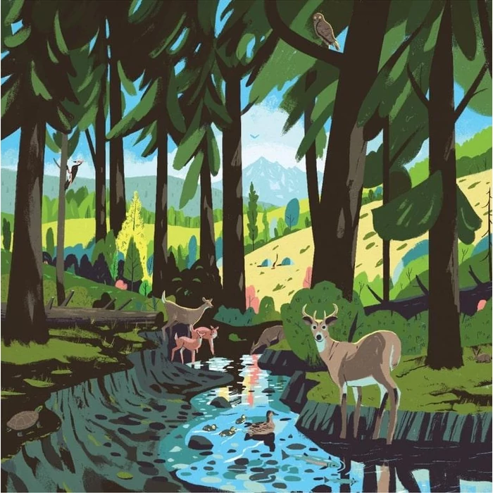 Galison 82565 - Woodland Pass - 500 db-os puzzle