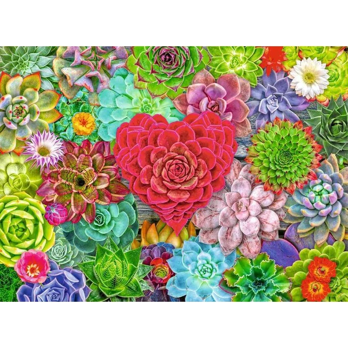 Ravensburger 12001469 - Pozsgások - 500 db-os puzzle