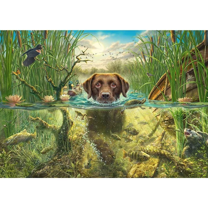 Schmidt 58572 - Dog's Life - Brown Labrador in the Cool Water - 1000 db-os puzzle