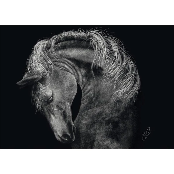 Schmidt 58543 - Horse, In the Sign of Strength, Ashley Rader - 1000 db-os puzzle
