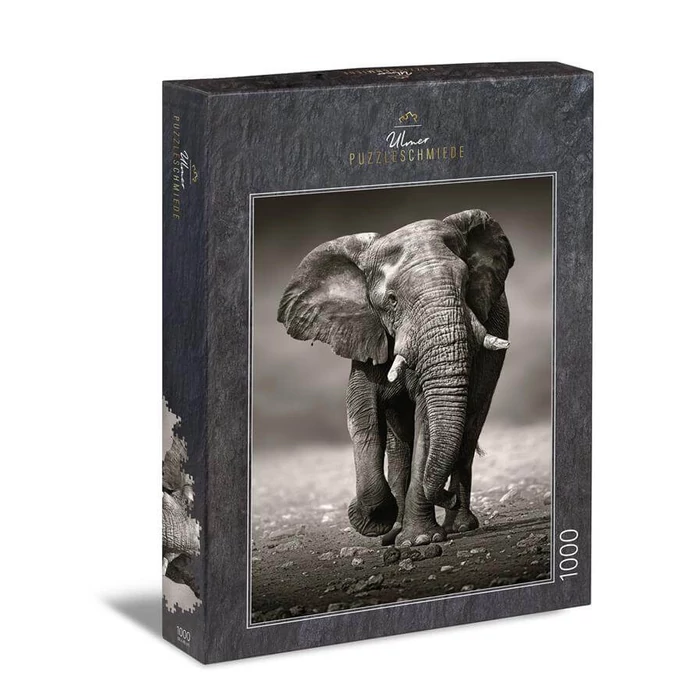 Ulmer 0275 - The Wanderer - 1000 db-os puzzle
