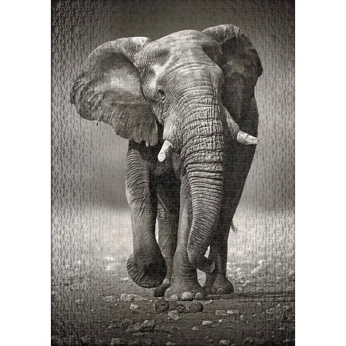 Ulmer 0275 - The Wanderer - 1000 db-os puzzle