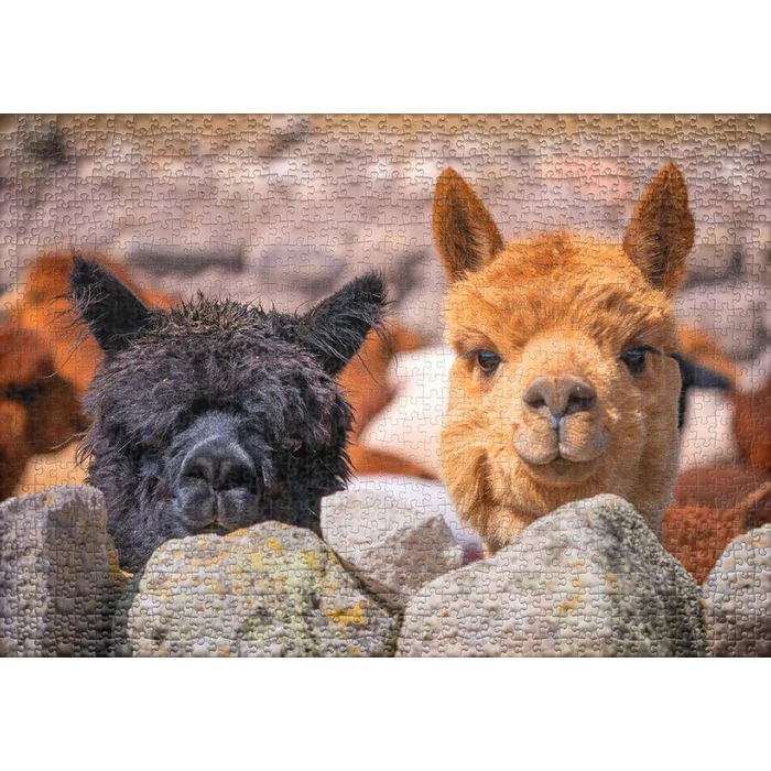 Ulmer 0985 - Alpaca - 1000 db-os puzzle