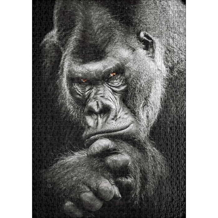 Ulmer 1289 - Silverback - 1000 db-os puzzle
