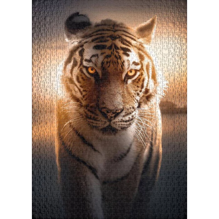 Ulmer 2569 - Eyes of the Night - 1000 db-os puzzle