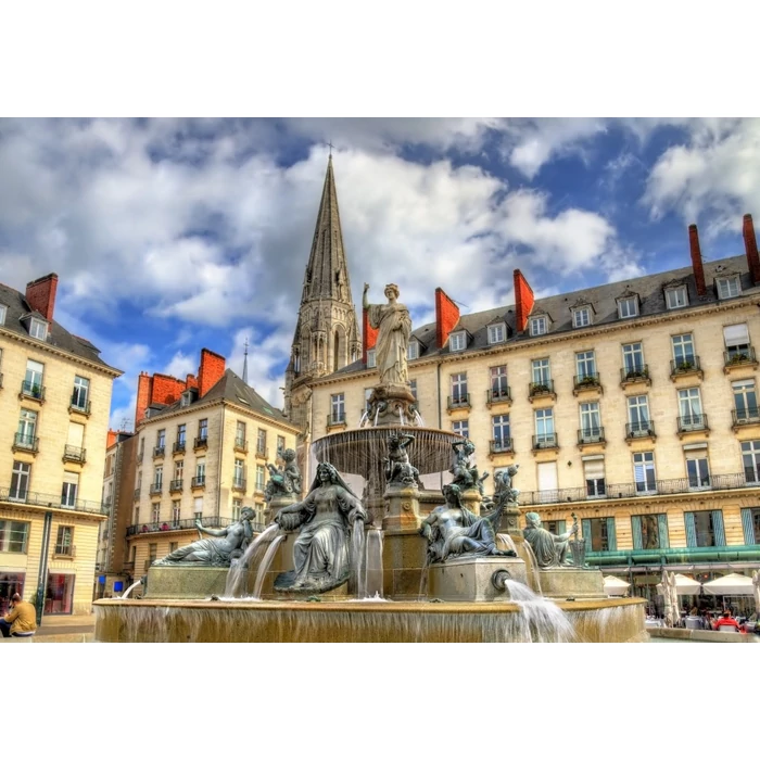 Bluebird 1000 db-os puzzle - 44 Loire Atlantique - Place Royale, Nantes, France (90441)
