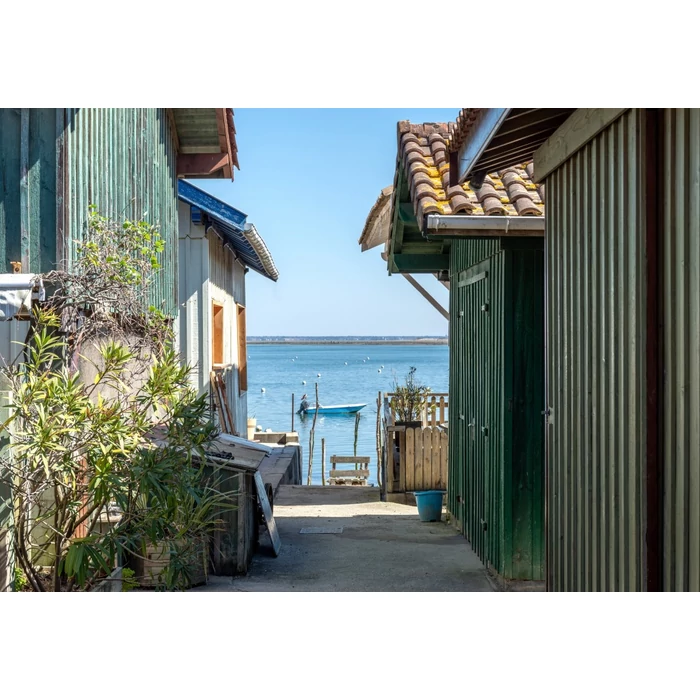 Bluebird 1000 db-os puzzle - Ruelle entre les Cabanes Ostréicoles, Bassin dArcachon (90447)