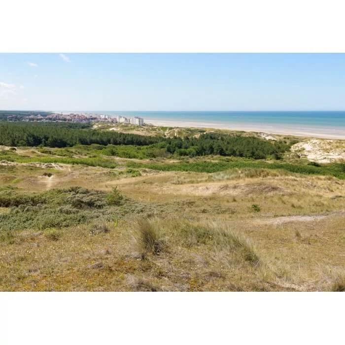 Bluebird 90454 -Dunes d'Hardelot, Côte d'Opale, France - 1000 db-os puzzle 