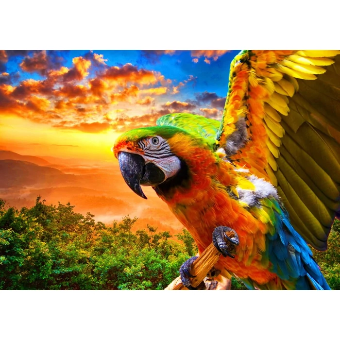 Bluebird 90263 - Parrot - 1000 db-os puzzle