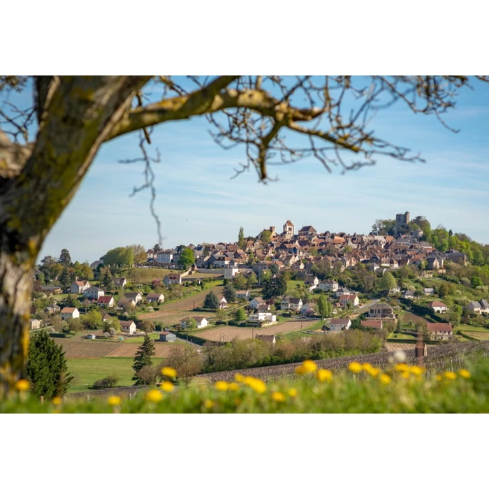 Bluebird 90443 - Sancerre, Centre-Val de Loire, France - 1000 db-os puzzle