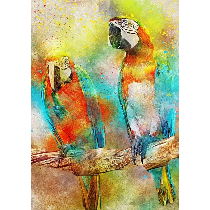 Bluebird 90136 - Parrots  - 1000 db-os puzzle