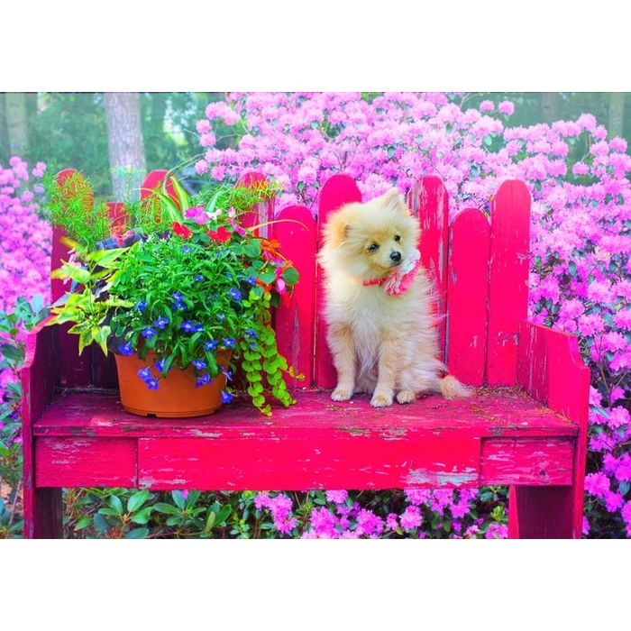 Bluebird 90107 - Puppy in the Colorful Garden - 500 db-os puzzle