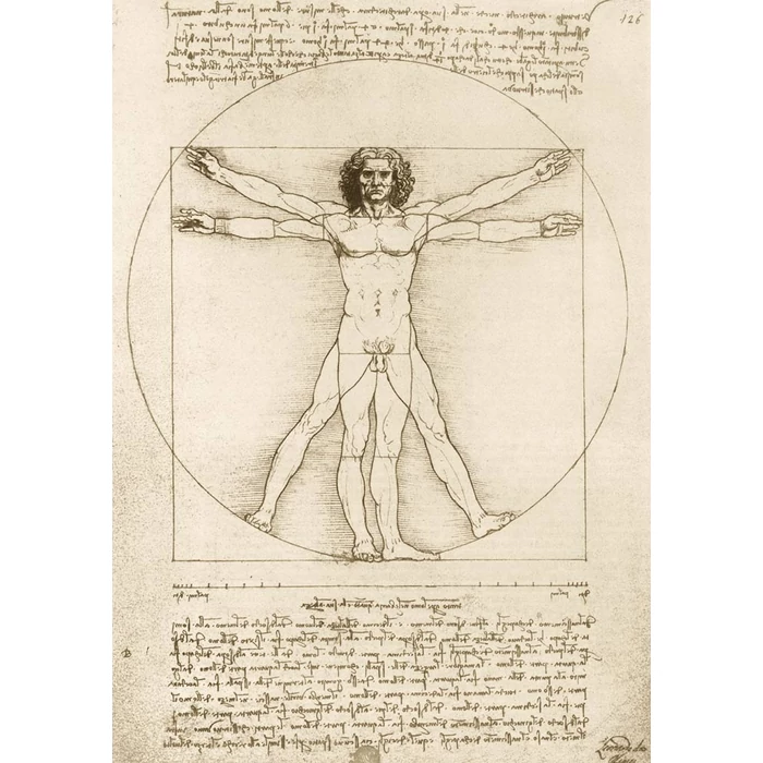 Bluebird Art by 60009 - Da Vinci - The Vitruvian Man - 1000 db-os puzzle