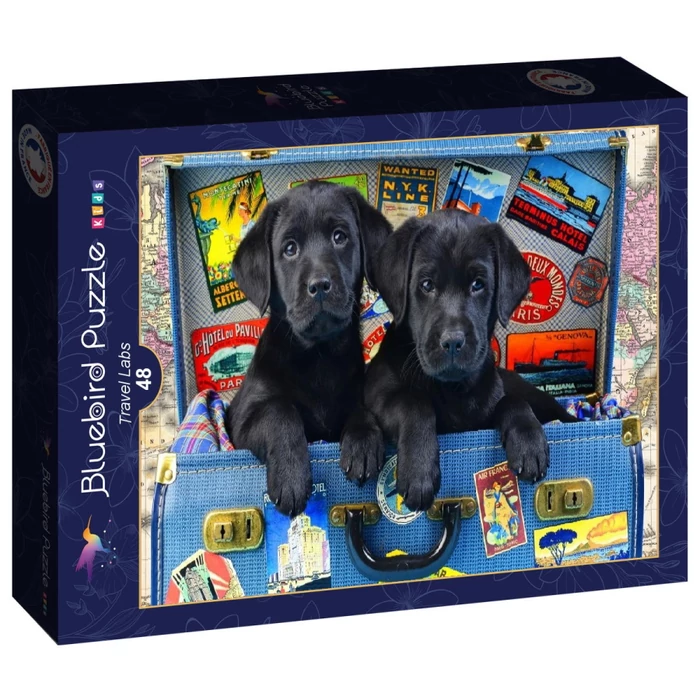 Bluebird 90053 - Travel Labs - Kids 48 db-os puzzle