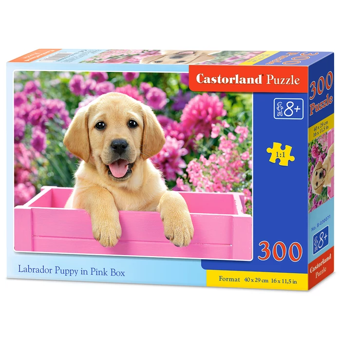Castorland B-030071 - Labrador kölyök rózsaszín dobozban - 300 db-os puzzle
