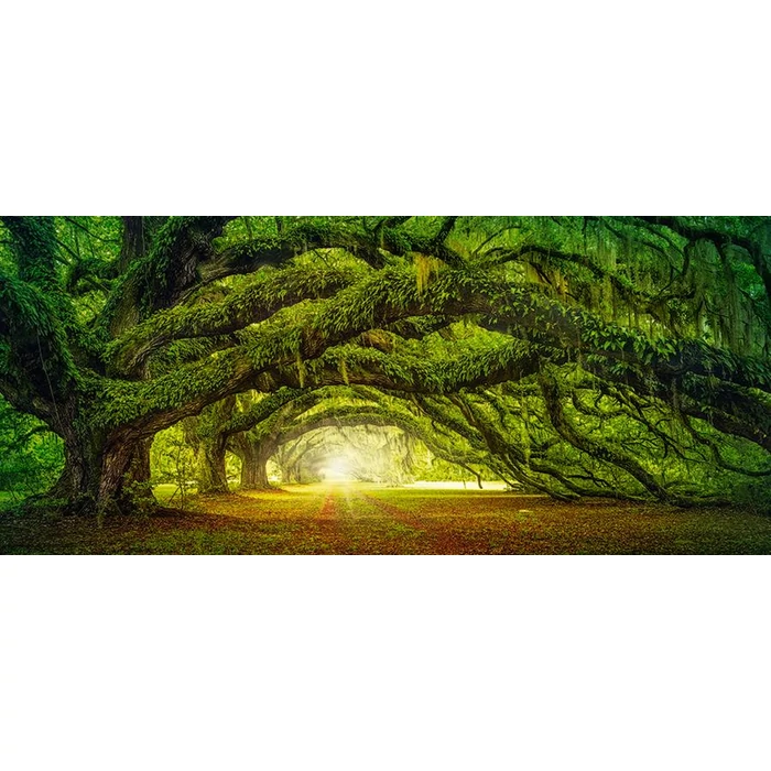 Castorland B-060030 - Panoráma puzzle - Passzázs - 600 db-os puzzle
